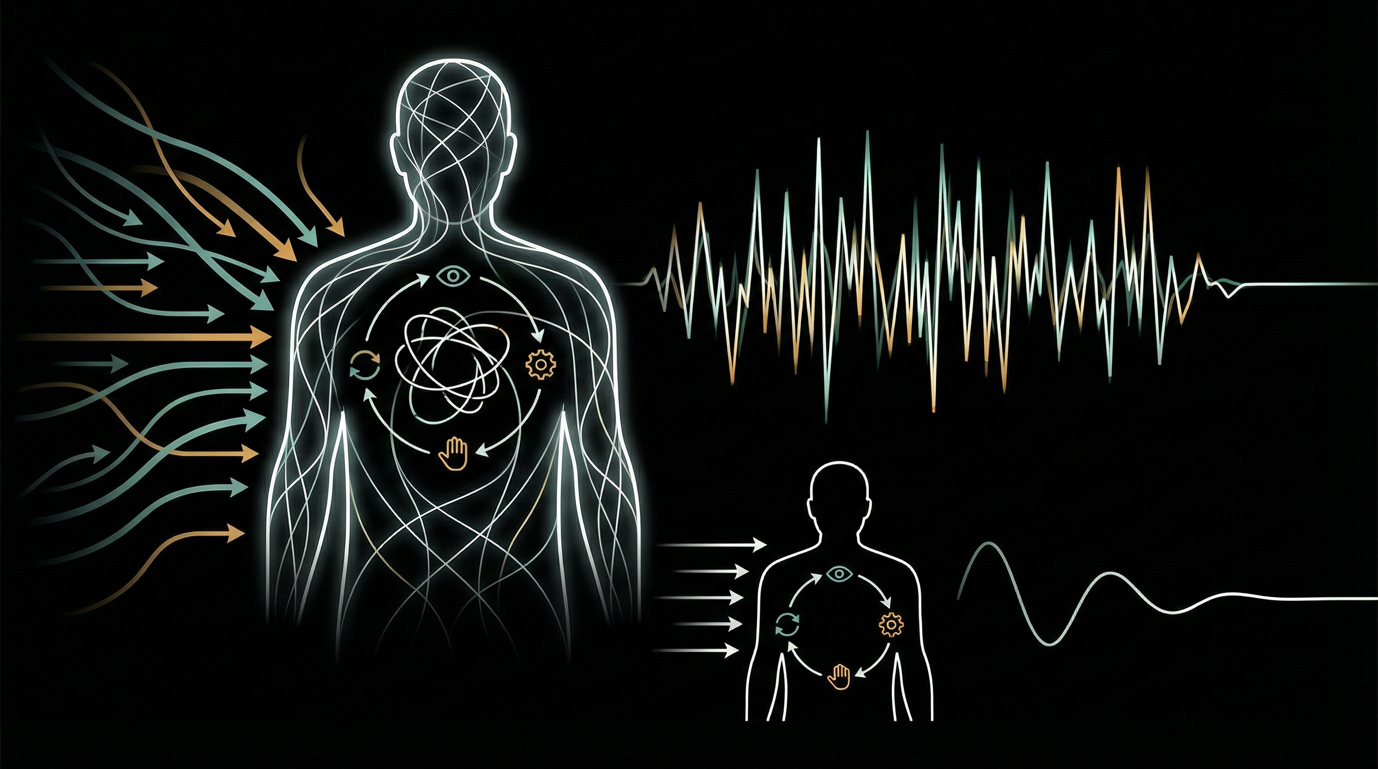 Human as a Control System